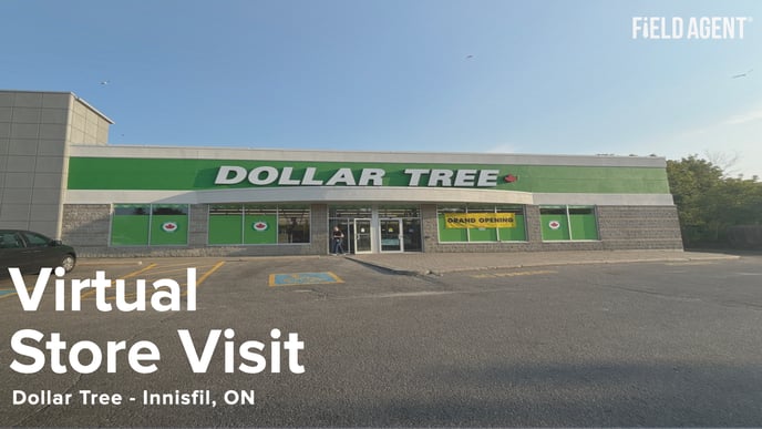 Dollar Tree Innisfil.001