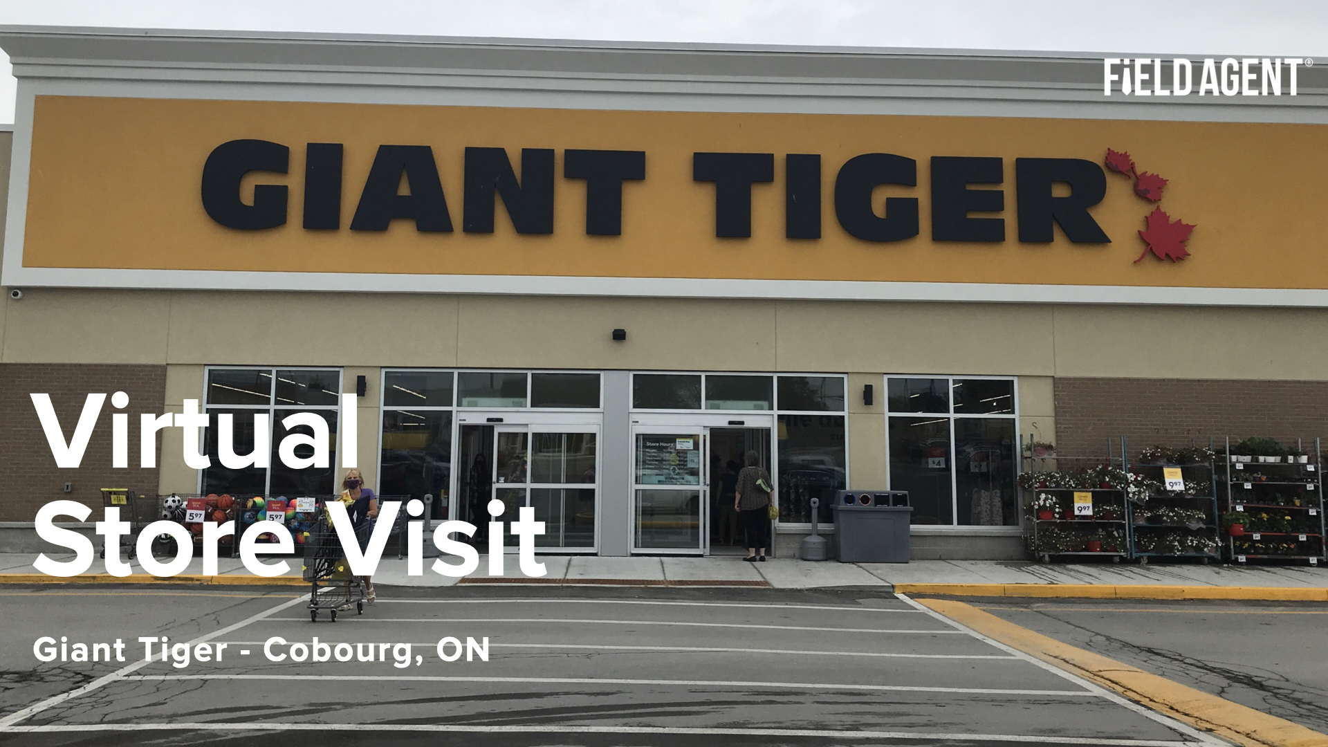 Virtual Store Tour - Giant Tiger, Cobourg